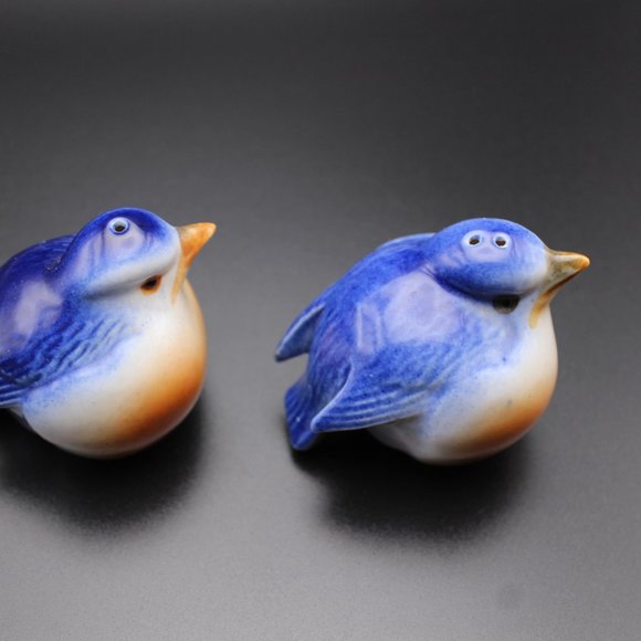 Vintage Eastern Blue Birds Salt and Pepper - Picture 5 of 13
